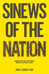 Sinews of the Nation. Constructing Irish and Zionist Bonds in the United States, Dan  Lainer-Vos аудиокнига. ISDN31224025