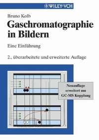 Gaschromatographie in Bildern. Eine Einführung - Bruno Kolb