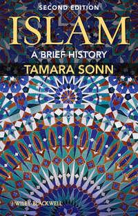 Islam. A Brief History, Tamara  Sonn Hörbuch. ISDN31225969