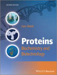 Proteins. Biochemistry and Biotechnology, Gary  Walsh аудиокнига. ISDN31226113