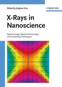 X-Rays in Nanoscience. Spectroscopy, Spectromicroscopy, and Scattering Techniques - Jinghua Guo