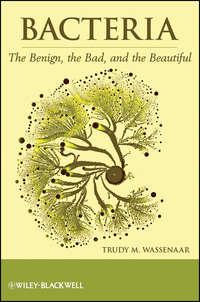 Bacteria. The Benign, the Bad, and the Beautiful - Trudy Wassenaar