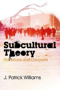 Subcultural Theory. Traditions and Concepts,  Hörbuch. ISDN31232113