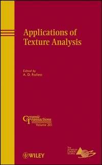 Applications of Texture Analysis,  audiobook. ISDN31233345