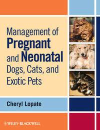 Management of Pregnant and Neonatal Dogs, Cats, and Exotic Pets, Cheryl  Lopate аудиокнига. ISDN31234785