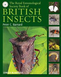 The Royal Entomological Society Book of British Insects - Peter Barnard