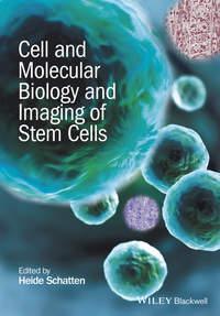 Cell and Molecular Biology and Imaging of Stem Cells, Heide  Schatten audiobook. ISDN31237305