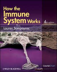 How the Immune System Works,  аудиокнига. ISDN31237377