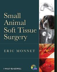 Small Animal Soft Tissue Surgery, Eric  Monnet аудиокнига. ISDN31237689