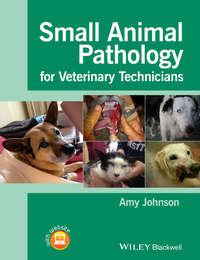Small Animal Pathology for Veterinary Technicians, Amy  Johnson audiobook. ISDN31238681