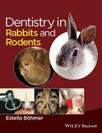 Dentistry in Rabbits and Rodents - Estella Böhmer