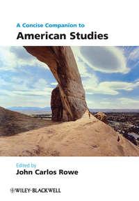 A Concise Companion to American Studies - John Rowe