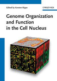 Genome Organization And Function In The Cell Nucleus, Karsten  Rippe audiobook. ISDN31240553