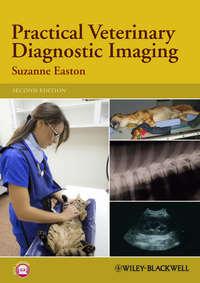 Practical Veterinary Diagnostic Imaging - Suzanne Easton