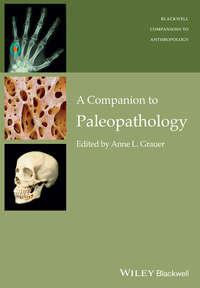 A Companion to Paleopathology - Anne Grauer