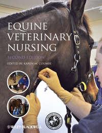 Equine Veterinary Nursing - Karen Coumbe