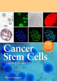 Cancer Stem Cells - Vinagolu Rajasekhar