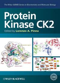 Protein Kinase CK2,  аудиокнига. ISDN31242825