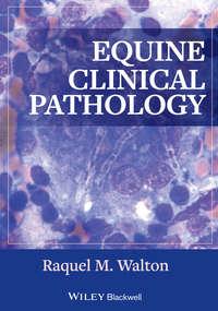 Equine Clinical Pathology,  audiobook. ISDN31242849