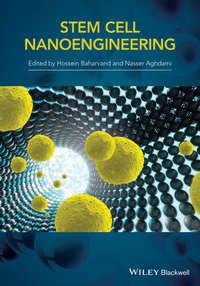 Stem Cell Nanoengineering, H.  Baharvand аудиокнига. ISDN31242905