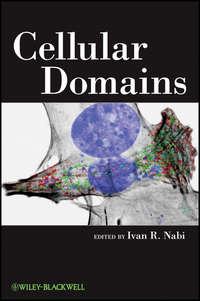 Cellular Domains - Ivan Nabi