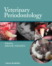 Veterinary Periodontology, Brook  Niemiec audiobook. ISDN31243857