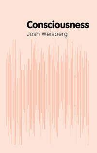 Consciousness, Josh  Weisberg аудиокнига. ISDN31244545