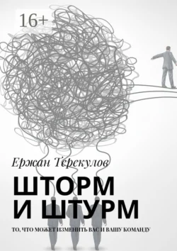 Шторм и штурм. То, что может изменить вас и вашу команду, audiobook Ержана Терекулова. ISDN31508151