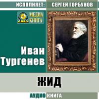 Жид, audiobook Ивана Тургенева. ISDN31724271