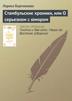 Стамбульские хроники, или О серьезном с юмором, аудиокнига Ларисы Бортниковой. ISDN330782