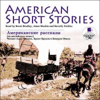 American short stories, аудиокнига . ISDN330832
