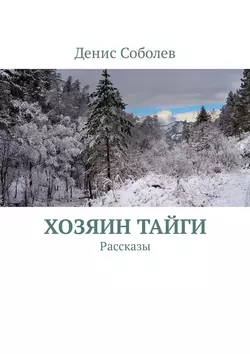 Хозяин тайги. Рассказы, аудиокнига Дениса Валерьевича Соболева. ISDN33392318