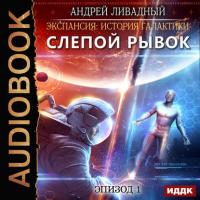 Слепой рывок, audiobook Андрея Ливадного. ISDN33395750