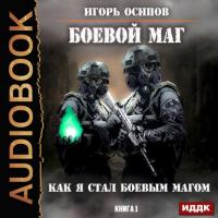 Как я стал боевым магом, książka audio Игоря Осипова. ISDN33584399