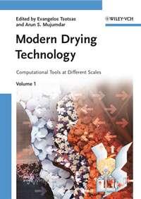 Modern Drying Technology, Volume 1. Computational Tools at Different Scales - Mujumdar Arun