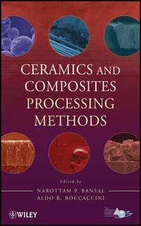 Ceramics and Composites Processing Methods - Boccaccini Aldo