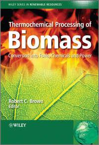 Thermochemical Processing of Biomass. Conversion into Fuels, Chemicals and Power - Stevens Christian