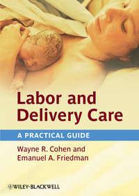 Labor and Delivery Care. A Practical Guide - Cohen Wayne