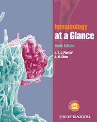 Immunology at a Glance,  audiobook. ISDN33815886