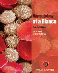 Haematology at a Glance - Hoffbrand A.