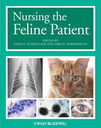 Nursing the Feline Patient,  audiobook. ISDN33816190