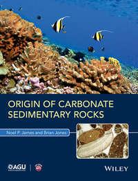 Origin of Carbonate Sedimentary Rocks,  audiobook. ISDN33817134