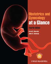 Obstetrics and Gynecology at a Glance - Norwitz Errol