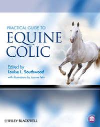 Practical Guide to Equine Colic - Fehr Joanne