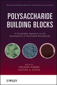 Polysaccharide Building Blocks. A Sustainable Approach to the Development of Renewable Biomaterials,  аудиокнига. ISDN33818790