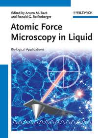 Atomic Force Microscopy in Liquid. Biological Applications,  аудиокнига. ISDN33819454