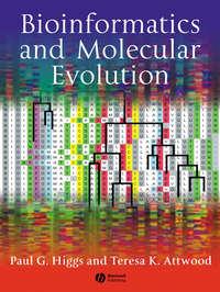 Bioinformatics and Molecular Evolution - Higgs Paul