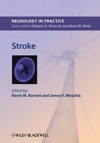 Stroke,  audiobook. ISDN33820638