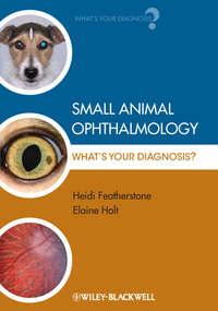 Small Animal Ophthalmology. Whats Your Diagnosis?,  książka audio. ISDN33821638