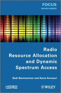 Radio Resource Allocation and Dynamic Spectrum Access - Amraoui Asma